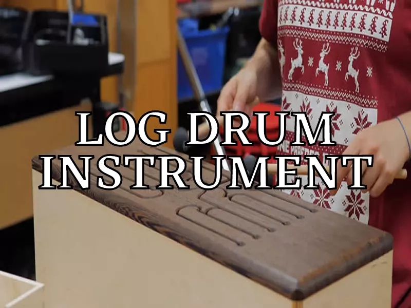 10 Best Log Drum or Slit Drum Reviews [Buyer’s Guide 2022]