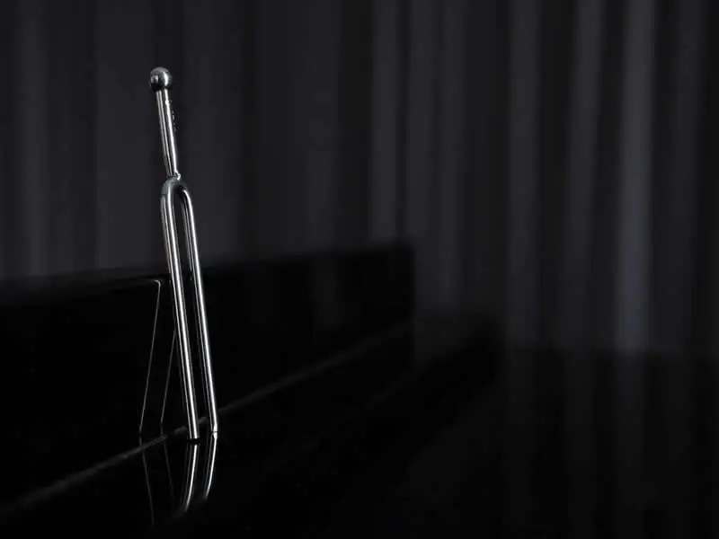 Weighted vs Unweighted Tuning Forks What You Should Know