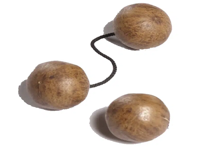 What Shaker Instrument Has Two Balls String?